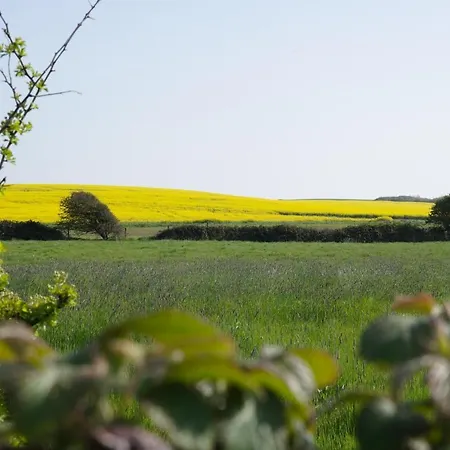 Le Wim' - Neuf Proche Et Centre